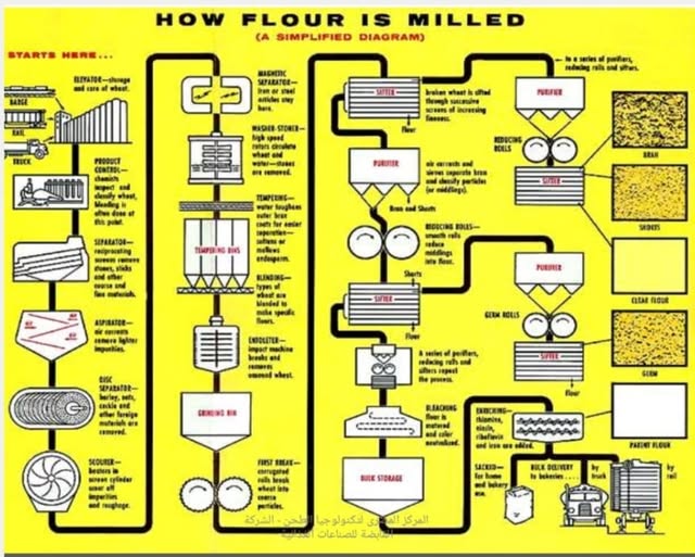 ملخص طحن الحبوب (طحن حبوب القمح)