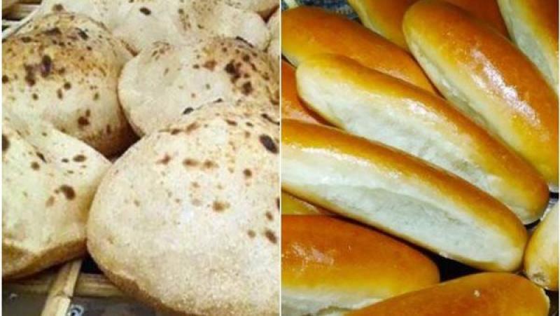 غرفة الحبوب”: 560 ألف طن استهلاك مصر شهريا من القمح للخبز الحر والمكرونة